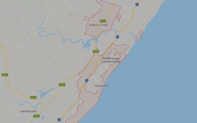 Local Resources That We Recommend